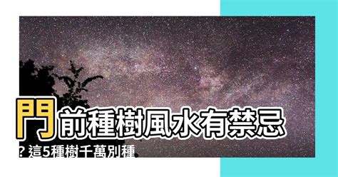 竹樹風水|【門前的風水樹】門前種什麼樹風水好種對了樹好運連連 